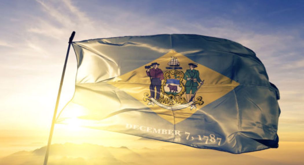 Delaware state of United States flag