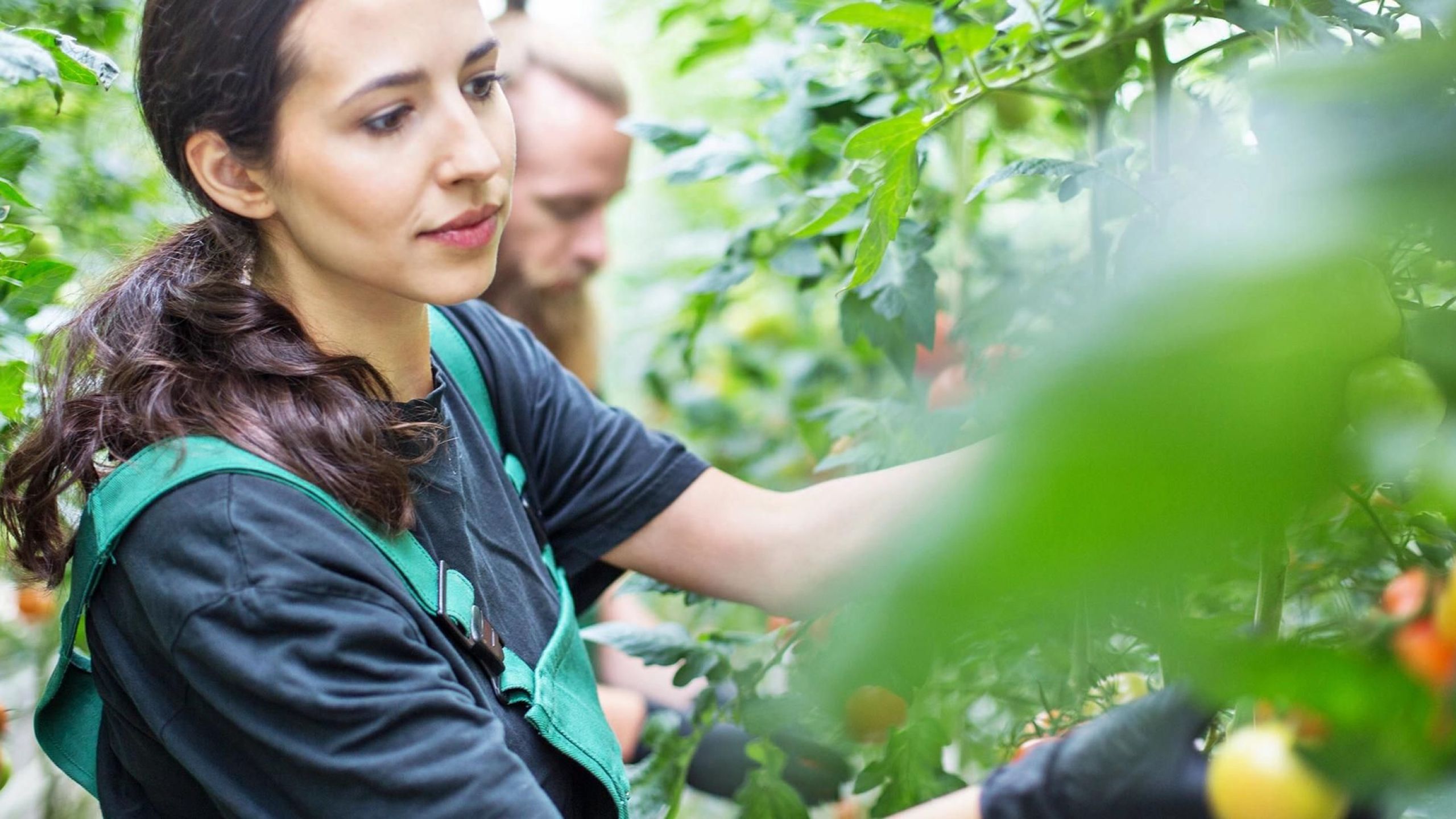 Delaware Agribusiness Company Employee
